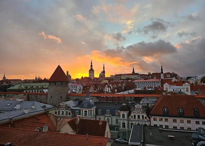 Comfort Of With Charming View *