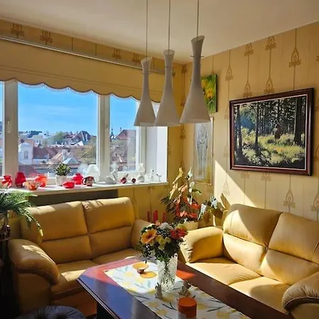 Comfort Of City Central With Charming View Apartment